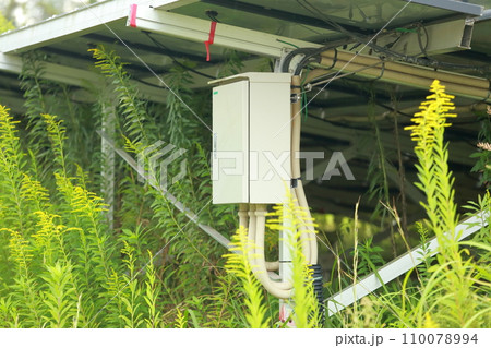 雑草が生い茂った太陽光発電所 雑草が生い茂った太陽光発電所 110078994