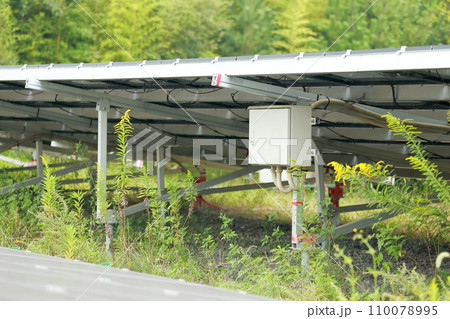 雑草が生い茂った太陽光発電所 雑草が生い茂った太陽光発電所 110078995