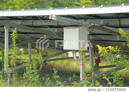雑草が生い茂った太陽光発電所 110078996
