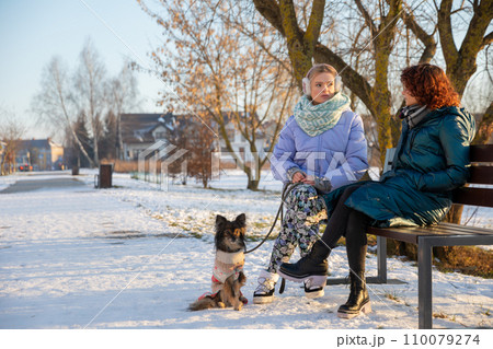 A girl with curly hair sits on a park bench in winter. 110079274
