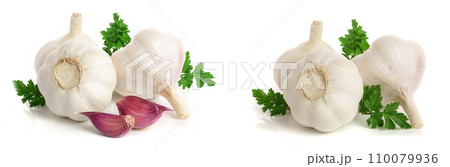 garlic with parsley leaf isolated on white background garlic with parsley leaf isolated on white background 110079936