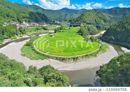 【あらぎ島】 和歌山県有田郡有田川町清水 110080708