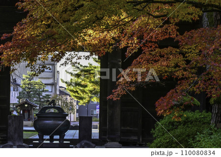 天徳院の紅葉 天徳院の紅葉 110080834