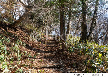 冬の里山登山道　登り直線 110081010