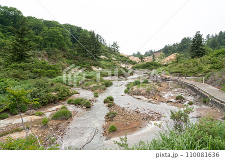 八幡平　後生掛自然研究路 110081636