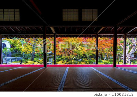 圓光寺の風景 紅葉した庭園 京都府京都市 圓光寺の風景 紅葉した庭園 京都府京都市 110081815