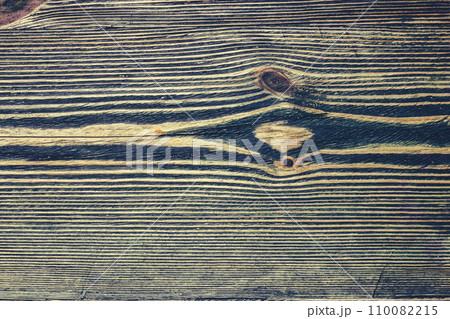 Wooden surface. Wood texture. Wood fibers. Wooden surface. Wood texture. Wood fibers. 110082215