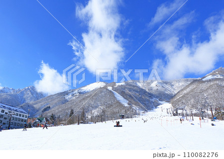 白馬五竜スキー場　とおみゲレンデ 110082276