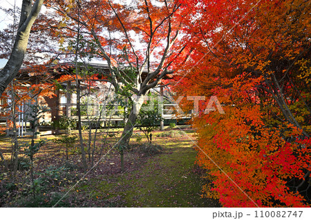 紅葉の風景　多聞院境内　所沢市　 110082747