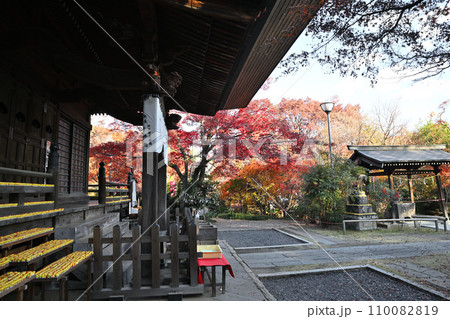多聞院毘沙門堂　紅葉の風景　所沢市　 110082819