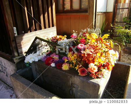 東福寺塔頭勝林寺 東福寺塔頭勝林寺 110082833