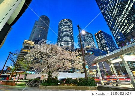 《愛知県》名古屋都市風景 満開の桜と名古屋駅ビル群の夜景 《愛知県》名古屋都市風景 満開の桜と名古屋駅ビル群の夜景 110082927