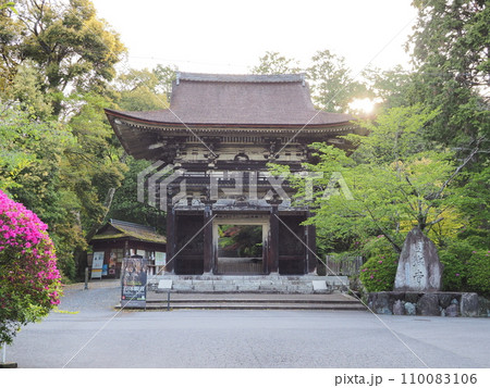 園城寺 (三井寺)・仁王門( 滋賀県・大津市) 園城寺 (三井寺)・仁王門( 滋賀県・大津市) 110083106