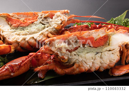 カナダ産　生食用　ボイル　オマール海老　（ロブスター） 110083332