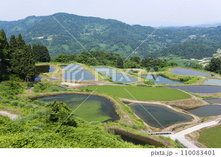 棚田と棚池 棚田と棚池 110083401