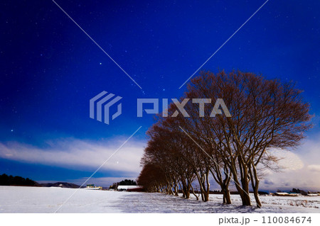 月あかりに照らされた冬の並木道 110084674