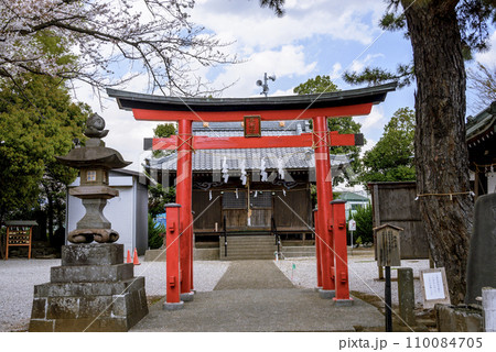 桜咲く田中八幡宮の全景 110084705