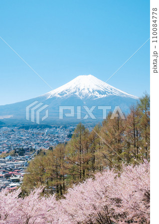 新倉山浅間公園（春） 110084778