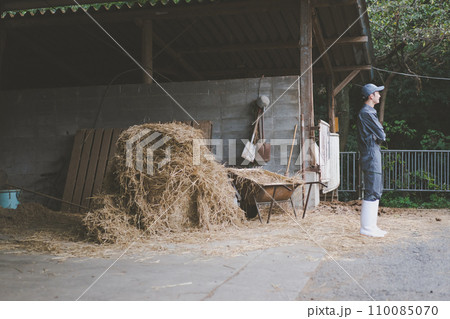 ranch 110085070