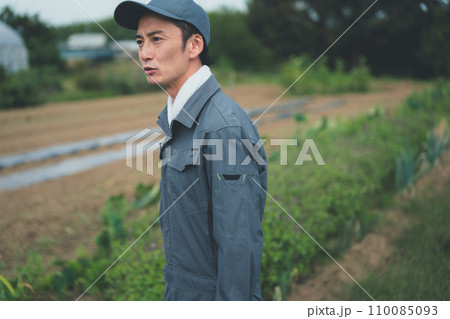 vegetable field 110085093