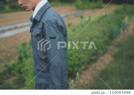 vegetable field 110085096