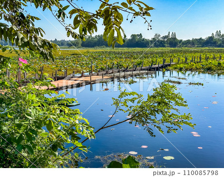 Gae Dam wooden bridge in Roi Et, Thailand Gae Dam wooden bridge in Roi Et, Thailand 110085798