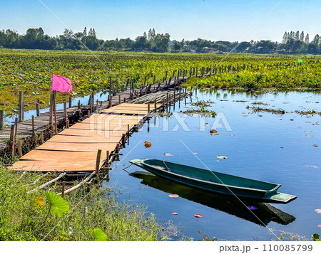 Gae Dam wooden bridge in Roi Et, Thailand Gae Dam wooden bridge in Roi Et, Thailand 110085799