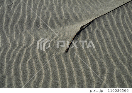 自然の造形　砂浜の風紋 110086566
