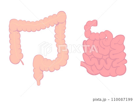 大腸と小腸 110087199