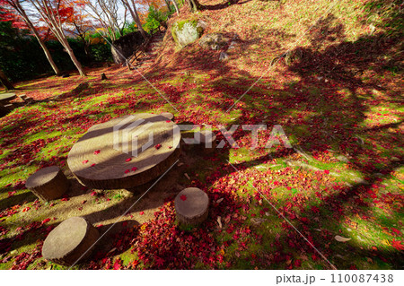 京都・笠置山もみじ公園の紅葉 110087438