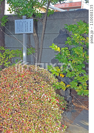 心行寺（江東） 110088135
