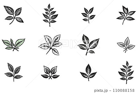 mint leaves set silhouette,mint leaves set vector 110088158