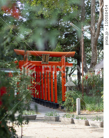 鮮やかな鳥居が並ぶ神社の風景 110088454