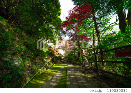 京都・笠置寺周辺の紅葉 110089053