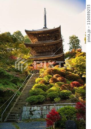 湖南三山　常楽寺の秋 110089255