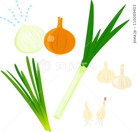 匂いが強い野菜、五葷 匂いが強い野菜、五葷 110089403
