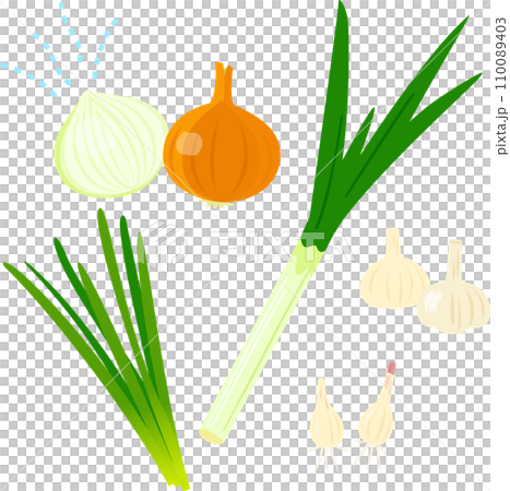 匂いが強い野菜、五葷 匂いが強い野菜、五葷 110089403