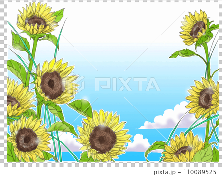 青い空と手書きのひまわりの花 110089525