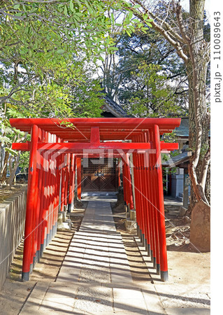 富岡八幡宮(江東) 富岡八幡宮(江東) 110089643