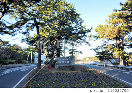 千葉県立富津公園 110089790