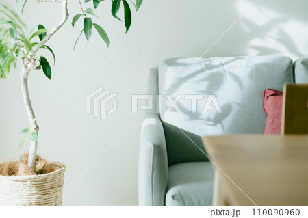 光が刺すソファと観葉植物 110090960