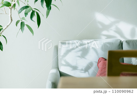 光が刺すソファと観葉植物 110090962