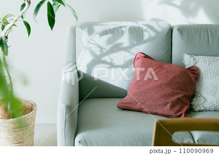 光が刺すソファと観葉植物 110090969