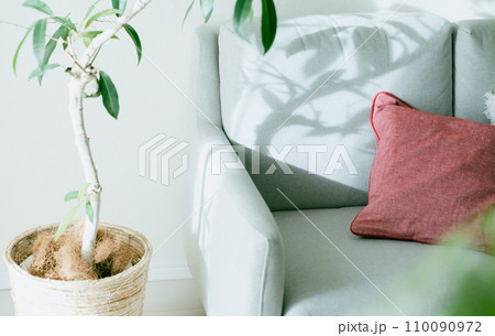 光が刺すソファと観葉植物 110090972