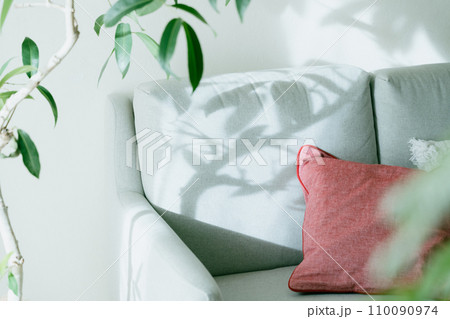 光が刺すソファと観葉植物 110090974