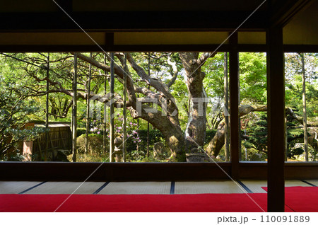新緑の京都市大原の里 宝泉院の額縁庭園 新緑の京都市大原の里 宝泉院の額縁庭園 110091889