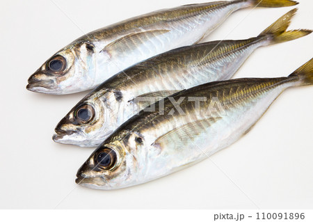 マアジ（鮮度抜群） 110091896
