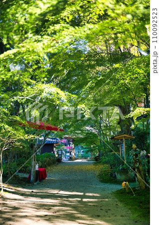 湖南三山　長寿寺 110092523