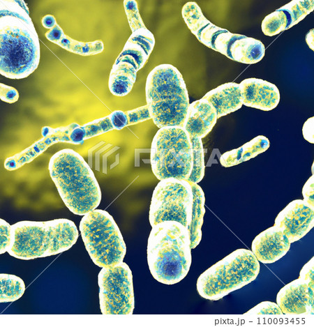 Rod-shaped bacteria, bacilli and cocci in the intestines. Microbiome. Microorganisms or microbes, non-nuclear prokaryotes, archaea. Bacteria are studied by science of bacteriology microbiology. 110093455