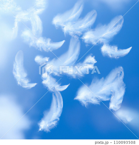 Fluffy white feathers falling down in a blue sky. Feather floating freedom concept. Flying feathers and light white clouds against the blue sky. Soft airy swan down. Clouds and sunshine 110093508